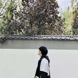 欧美在线视频网站
